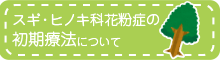 スギ・ヒノキ花粉症の初期療法について